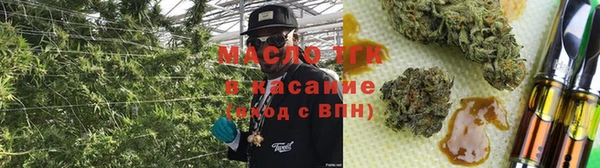 дурь Сатка