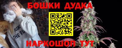 дмт Обь