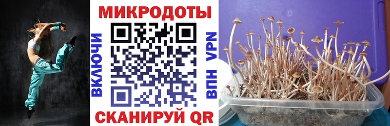 где купить   Усть-Илимск  Галлюциногенные грибы мицелий 